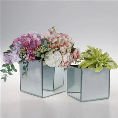 Хидропонна стъклена ваза